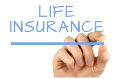 Hand writing Life Insurance and underlining in blue pen